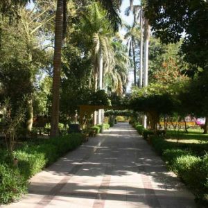 Botanical Gardens (Kitchener’s Island) Tour