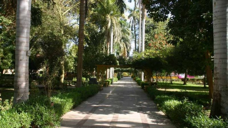 Botanical Gardens (Kitchener’s Island)