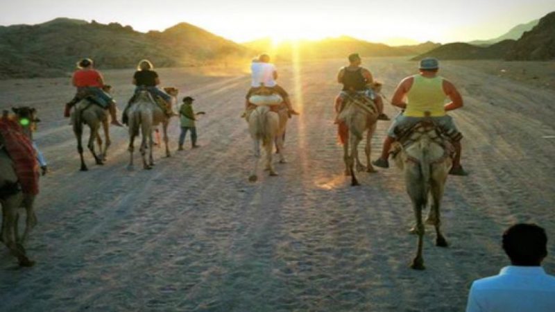 Camel Ride